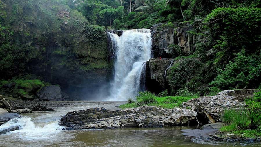 Ubud: Tegenungan Waterfall, Snorkeling, and Canyoning Tour - Who should book this Bali tour?