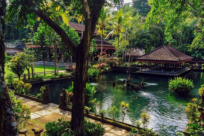 Ubud Top Attractions: Waterfalls, Temples and Rice Terraces - Tegalalang Rice Terrace: a short walk through working farmland