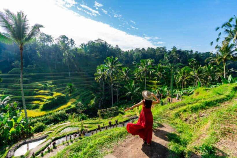 Ubud: Water Temple, Rice Terrace, and Waterfalls Tour - Five things to know before you go