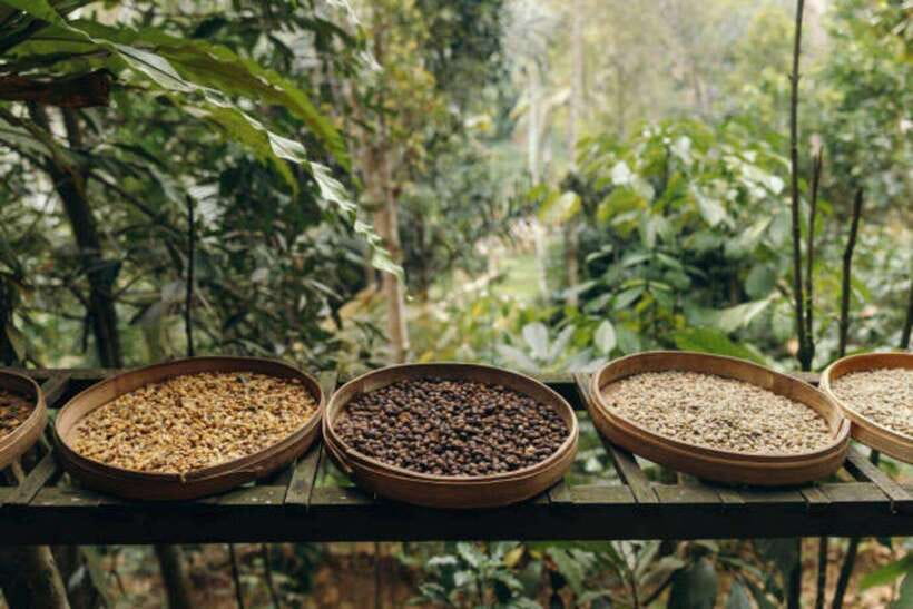 Ubud: Water Temple, Rice Terrace, and Waterfalls Tour - What the $30 price really covers
