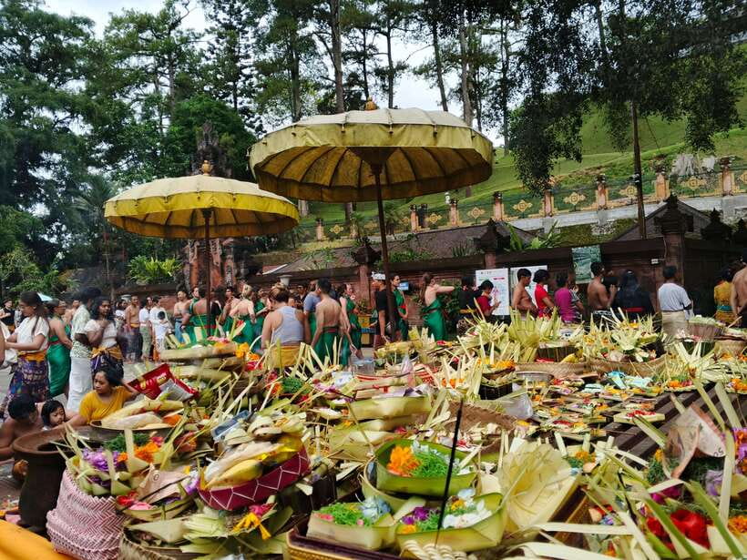 Ubud: Water Temple, Rice Terrace, and Waterfalls Tour - How to prepare for the wet and active parts