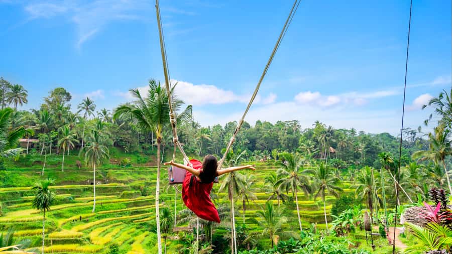 Ubud: Waterfall, Rice Terraces & Monkey Forest Private Tour - What the $23 price really gives you