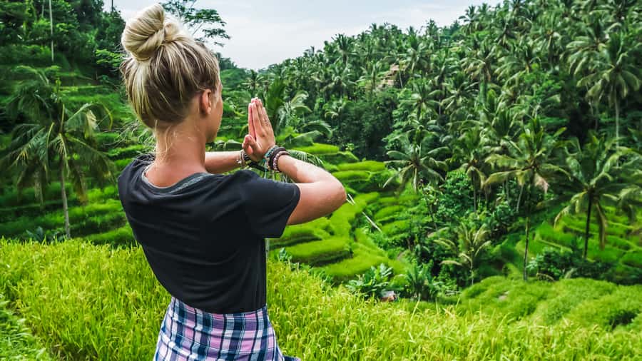 Ubud: Waterfall, Rice Terraces & Monkey Forest Private Tour - Ubud Monkey Forest: close to the macaques