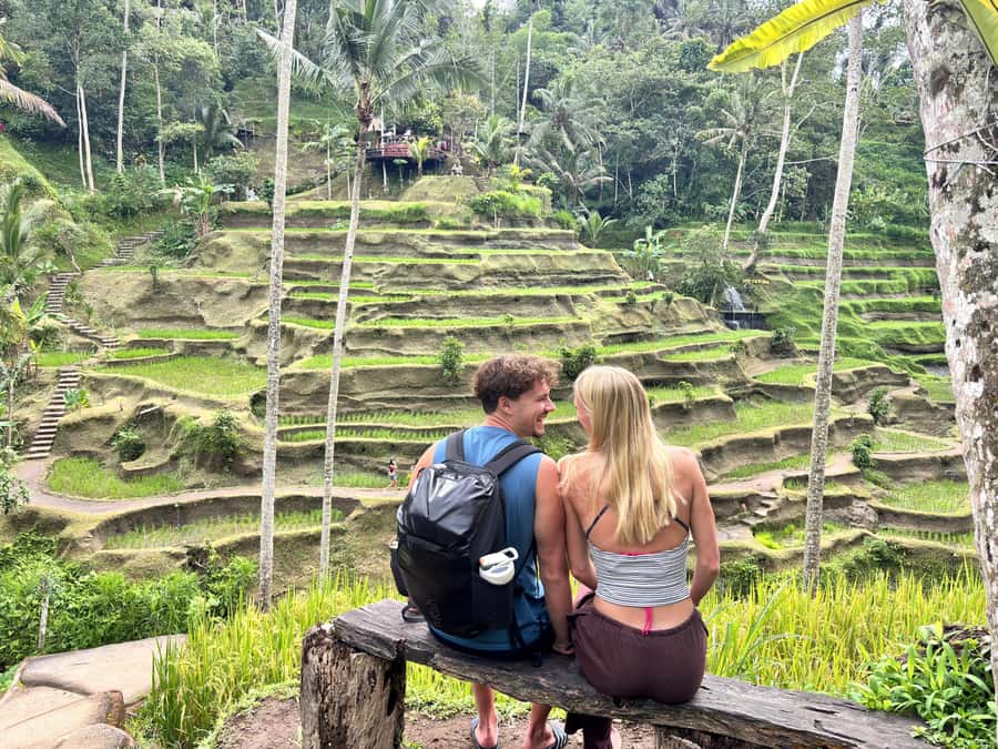 Ubud: Waterfalls, Water Temple & Rice Terraces Private Tour - Why this $29 private tour offers good value