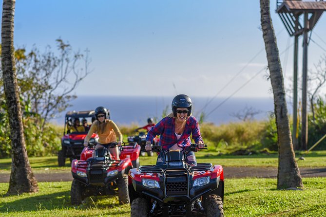 Umauma Falls Deluxe ATV Waterfall and Swim Experience - Who will enjoy this most