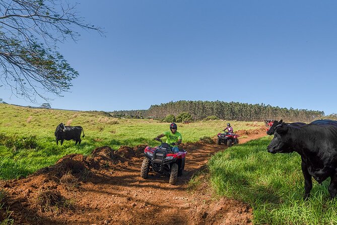 Umauma Falls Deluxe ATV Waterfall and Swim Experience - Riding the Hamakua Coast ranch trails
