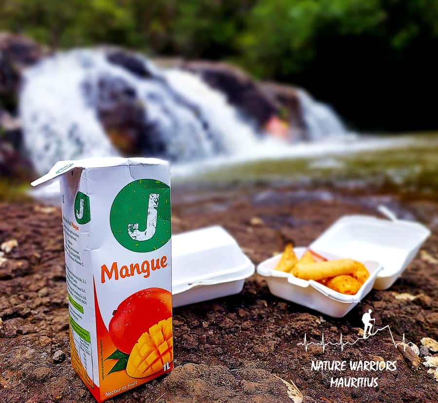 Vacoas-Phoenix: Private Hiking Tour to Tamarind Falls - Who should book this hike?