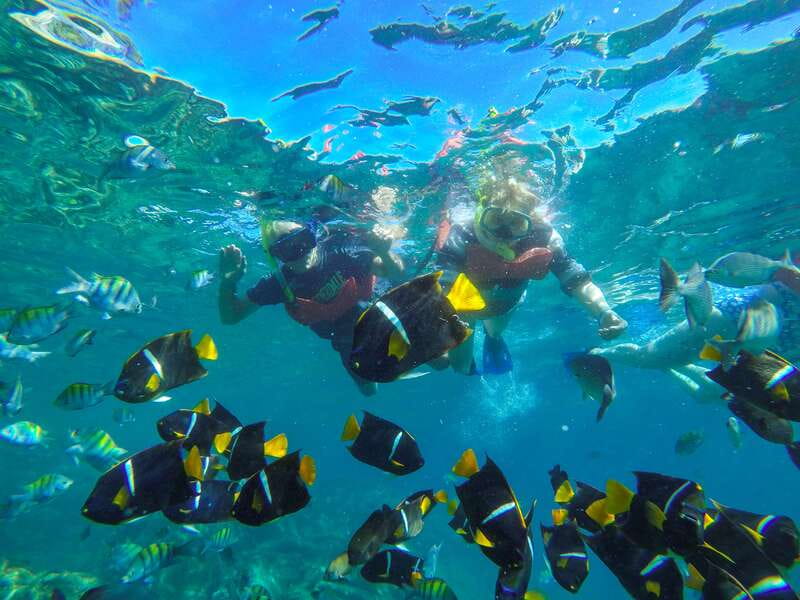 Vallarta: Yelapa Waterfall & Majahuitas Snorkel Adventure - Yelapa and the walk to Cola de Caballo