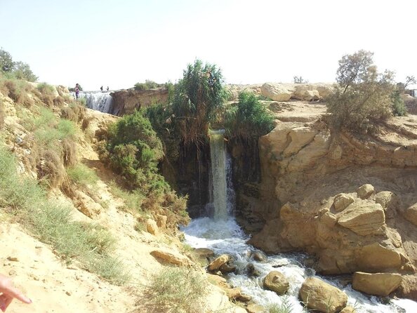 Valley of Whales and Wadi El Rayan Water Falls Day Tour from Cairo - The day in five useful points