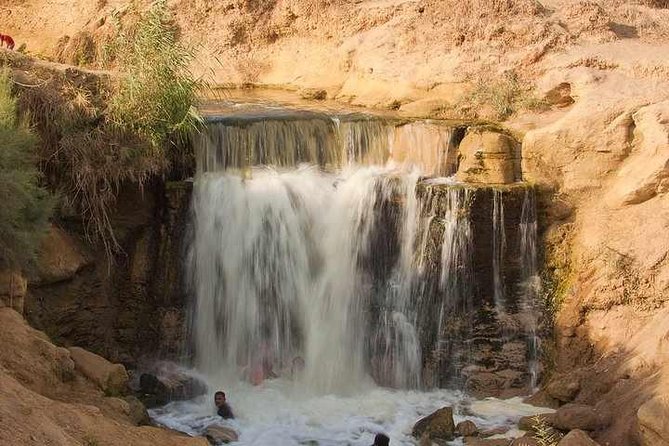 Valley of Whales and Wadi El Rayan Water Falls Day Tour from Cairo - Tunis Village and the first view of Lake Qarun