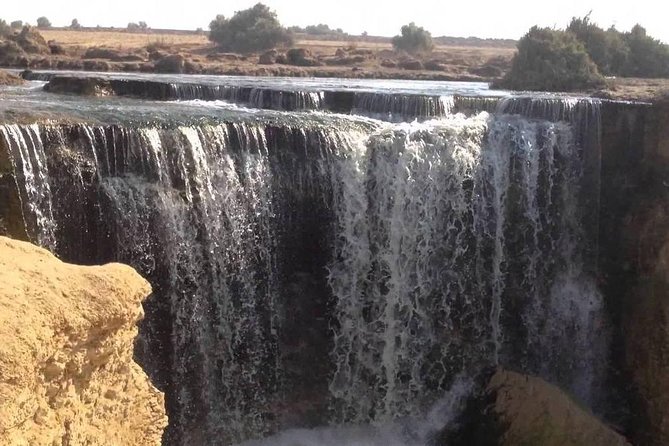 Valley of Whales and Wadi El Rayan Water Falls Day Tour from Cairo - Is $90 a fair price?