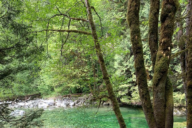 Vancouver Rainforest Hike with Waterfalls, Suspension Bridge, Old Growth Forest - Natural pools, creek views, and the chance to swim