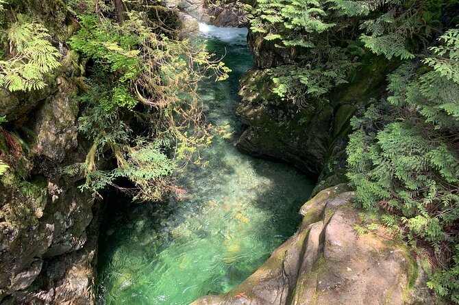 Vancouver Rainforest Hike with Waterfalls, Suspension Bridge, Old Growth Forest - Adrian’s guiding style and the value of a small group