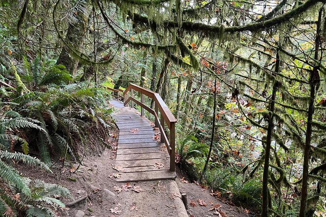 Vancouver Rainforest Hike with Waterfalls, Suspension Bridge, Old Growth Forest - How difficult is the hike?