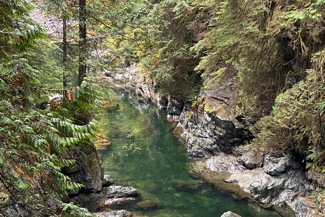 Vancouver Rainforest Hike with Waterfalls, Suspension Bridge, Old Growth Forest - Price, timing, and what the $58.56 includes