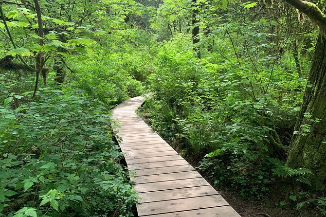 Vancouver Rainforest Hike with Waterfalls, Suspension Bridge, Old Growth Forest - Getting there over the Lions Gate Bridge