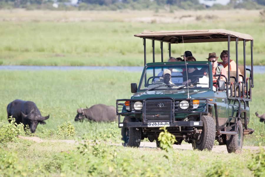 Victoria Falls: Chobe National Park Day Trip with Lunch - What makes this Chobe day trip worth considering