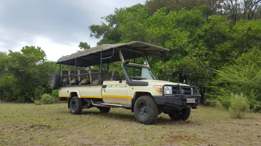 Victoria Falls: Chobe National Park Day Trip with Lunch - Lunch at the lodge or listed restaurant