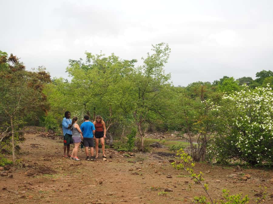 Victoria Falls Gorge Hike & Farm to Table Village Lunch - Is $120 Good Value?
