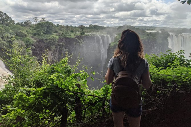 Victoria Falls: Private Guided Tour of the Falls - Who Will Enjoy This Tour Most