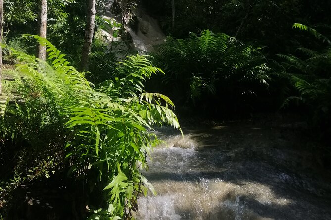 Visit Dantewada(Angel Land), Blue Temple, and Sticky Waterfall - Three very different Chiang Mai sights in one day