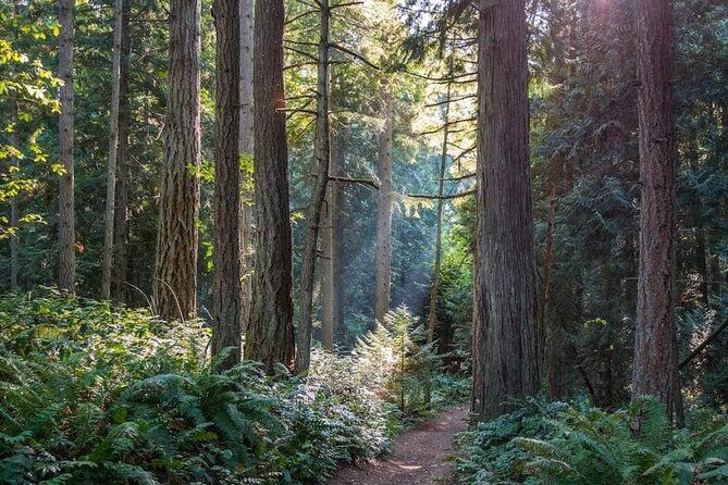 Visit Snoqualmie and Hike to Twin Falls (Transportation included) - How hard is the hike?