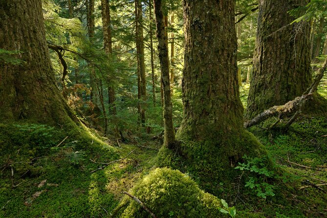 Visit Snoqualmie and Hike to Twin Falls (Transportation included) - The guide makes the small group worthwhile