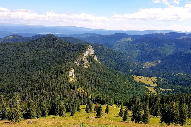 Vladeasa Peak and Bride's Waterfall Day Hike - Rogojel Village and the lone sequoia