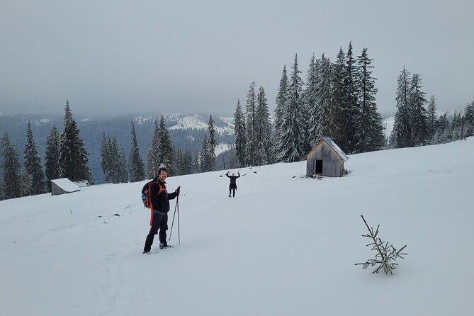 Vladeasa Peak and Bride's Waterfall Day Hike - The picnic is simple, but well timed