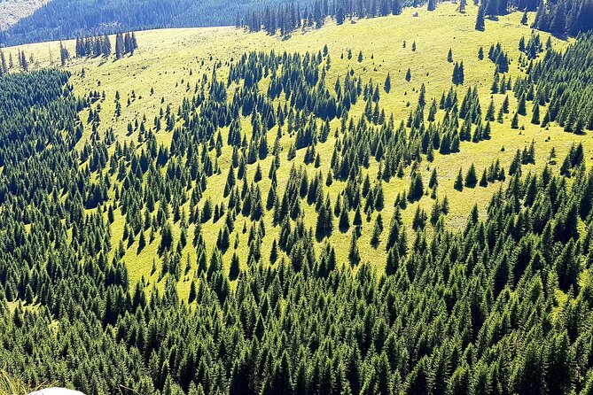 Vladeasa Peak and Bride's Waterfall Day Hike - How hard is this Vlădeasa hike?