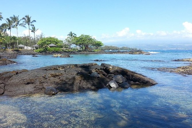 Volcano Adventure Tour & Waterfall - Shore Excursion from Hilo Harbor - Richardson Beach puts black lava under your feet