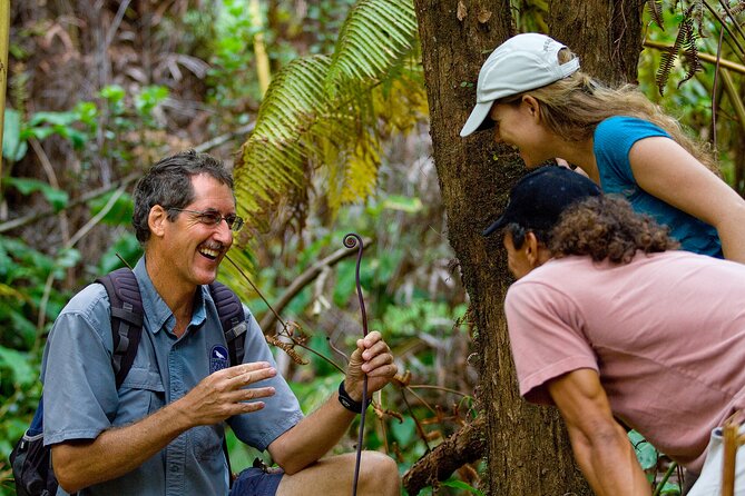 Volcano, Chocolate and Waterfalls of the Big Island - Physical demands, clothing, and meeting details