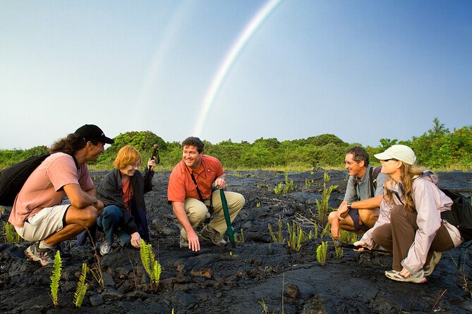 Volcano, Chocolate and Waterfalls of the Big Island - The private lava tube is the day’s wild card