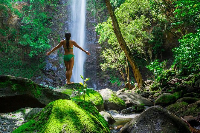 Wailua River Kayak and Sacred Falls Guided Hike with Lunch - Why the Wailua River makes a fine starting point