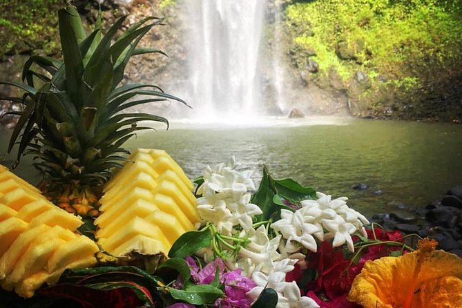 Wailua River & Waterfalls Kayak Tour: Expert-Guided Adventure - Why an early start helps