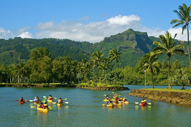 Wailua River & Waterfalls Kayak Tour: Expert-Guided Adventure - Secret Falls and the swimming hole