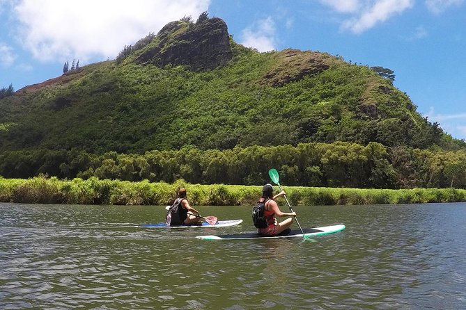 Wailua River & Waterfalls Kayak Tour: Expert-Guided Adventure - Lunch at the waterfall