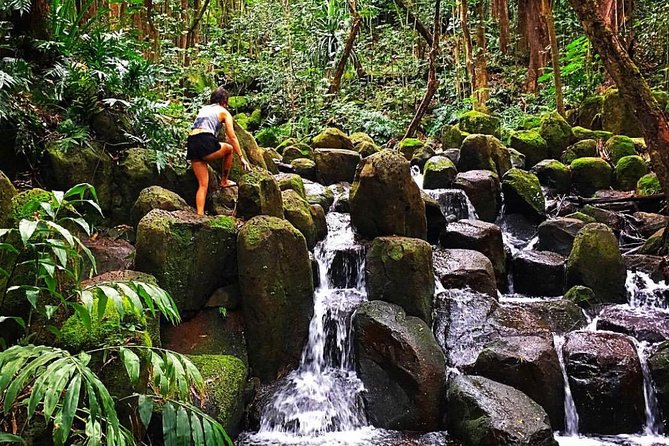 Wailua River & Waterfalls Kayak Tour: Expert-Guided Adventure - The return hike and paddle