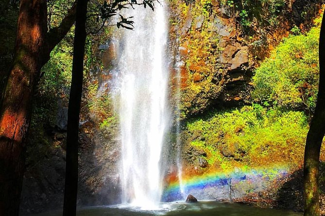 Wailua River & Waterfalls Kayak Tour: Expert-Guided Adventure - What to wear and pack