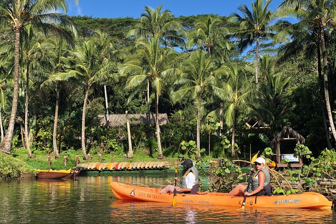 Wailua River & Waterfalls Kayak Tour: Expert-Guided Adventure - Who should book this adventure?