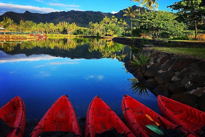 Wailua River & Waterfalls Kayak Tour: Expert-Guided Adventure - Paddling two miles to the trail