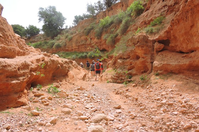 Walk between Argan Forest, Ocean & Waterfalls. 12 km - A full day outside Essaouira