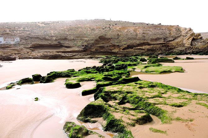 Walk between Argan Forest, Ocean & Waterfalls. 12 km - Walking out to a wild beach
