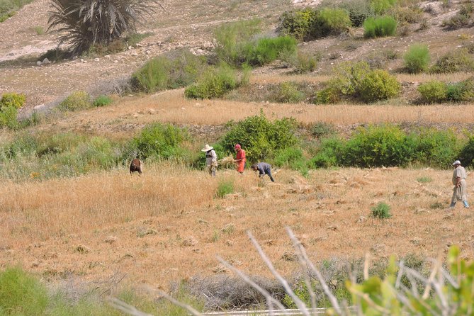 Walk between Argan Forest, Ocean & Waterfalls. 12 km - The Sidi M’Barket waterfalls, with one major warning