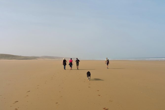 Walk between Argan Forest, Ocean & Waterfalls. 12 km - A tajine lunch in a Moroccan home