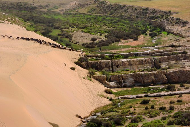 Walk between Argan Forest, Ocean & Waterfalls. 12 km - How demanding is the 12-kilometer walk?