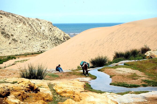 Walk to the cascade and marabout of Sidi Mbark & for a tea to Kaouki - Key details before you book