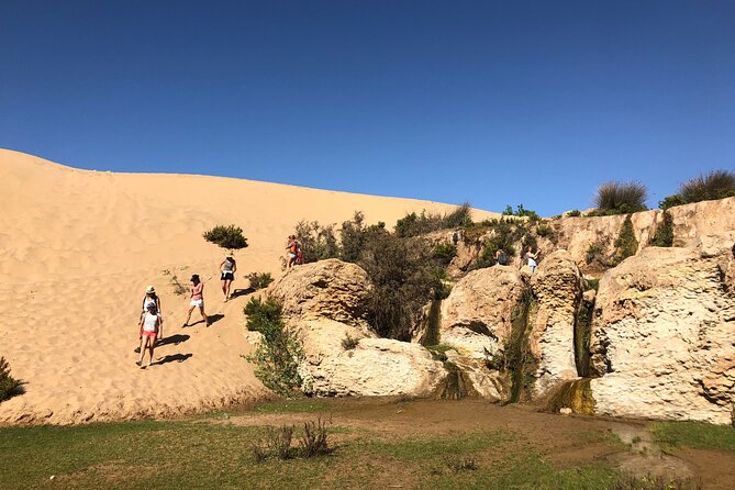 Walk to the cascade and marabout of Sidi Mbark & for a tea to Kaouki - A marabout beside the bay