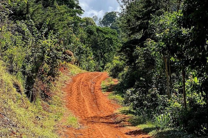 Waterfall, coffee tour & hot springs - lunch and drinks included - Who Will Enjoy This Combination Best?