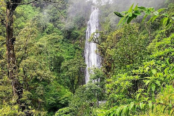 Waterfall, coffee tour & hot springs - lunch and drinks included - Should You Book the Materuni and Kikuletwa Day Trip?
